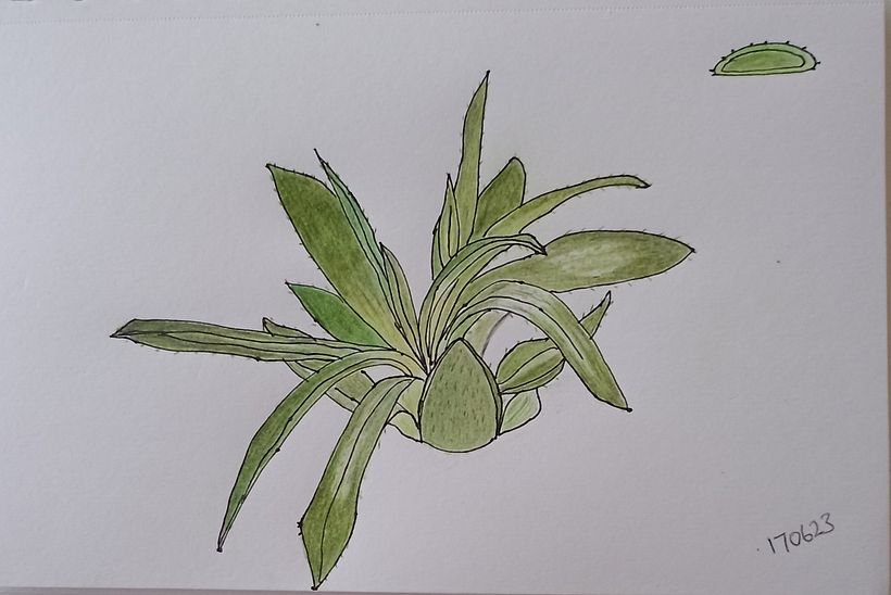 using colour pencils
