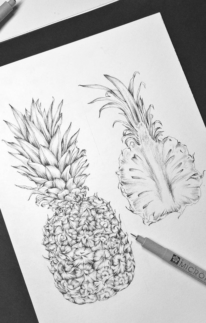Piña (Ananas comosus) 7