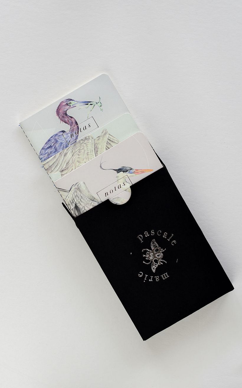 Garzas: Libretas de bolsillo 2