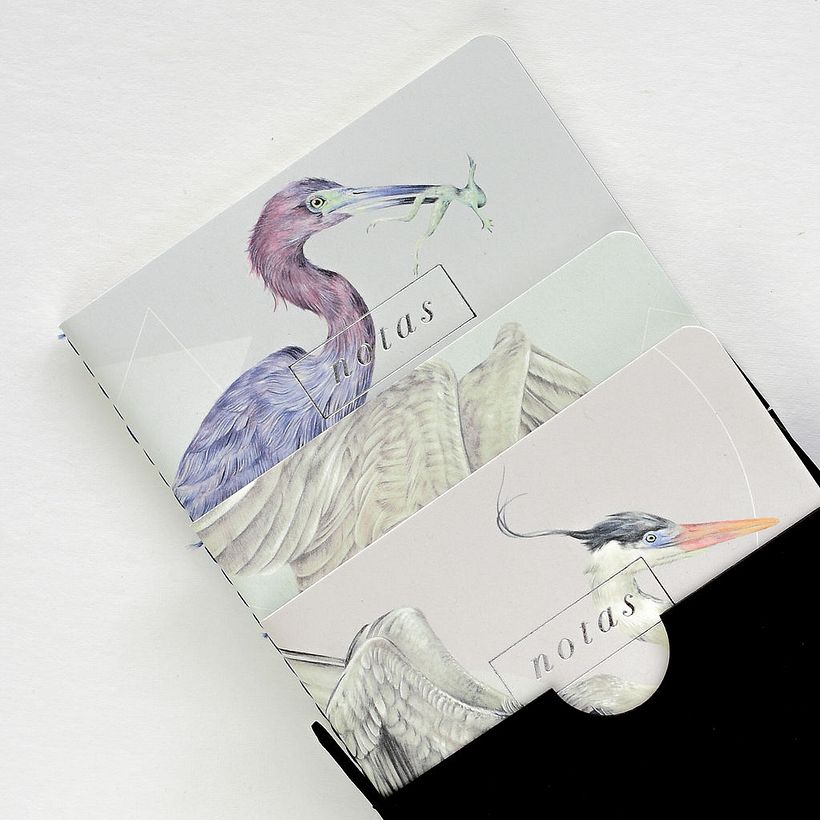 Garzas: Libretas de bolsillo 3