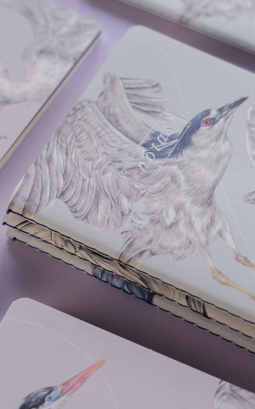 Garzas: Libretas de bolsillo 9