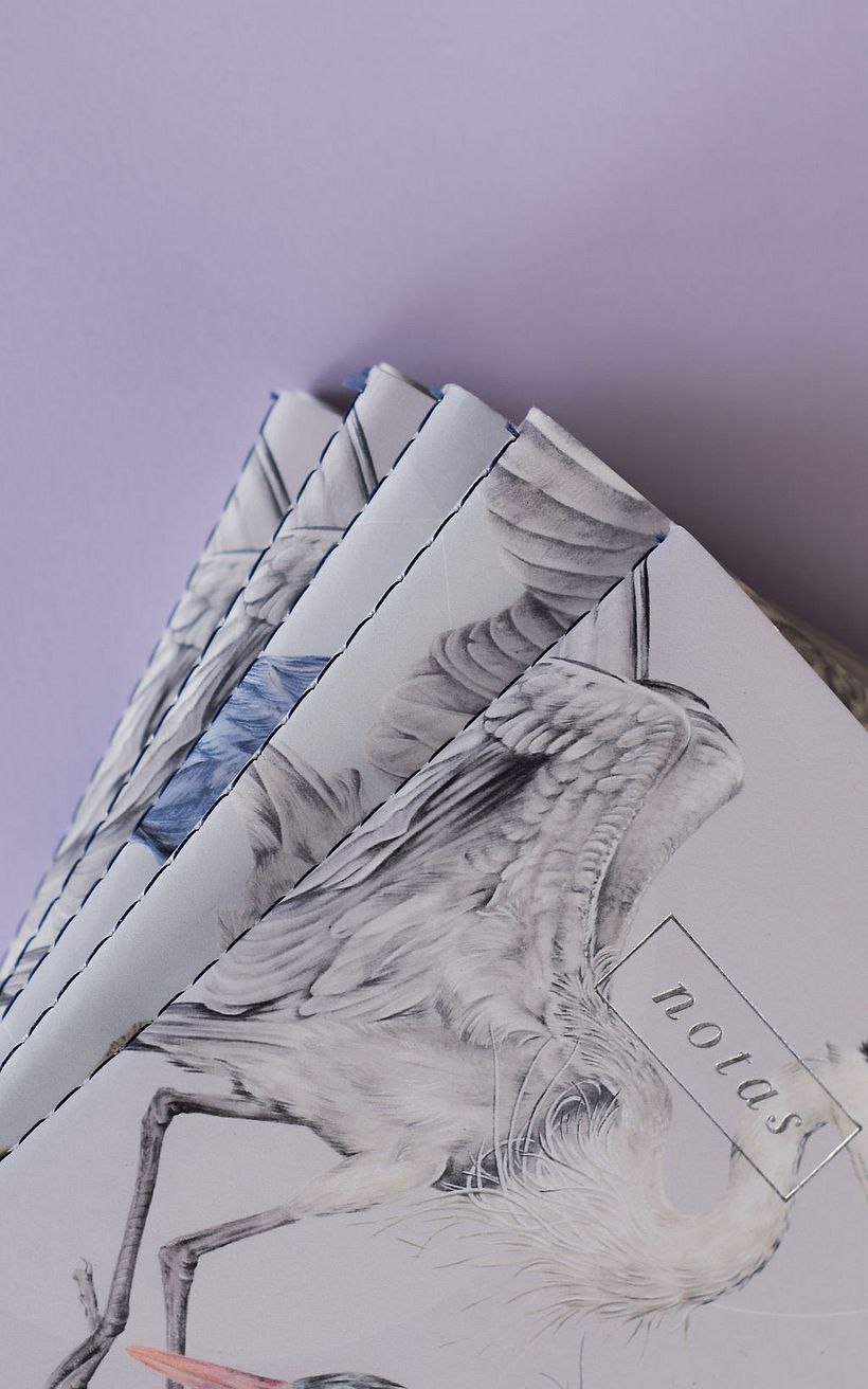 Garzas: Libretas de bolsillo 11