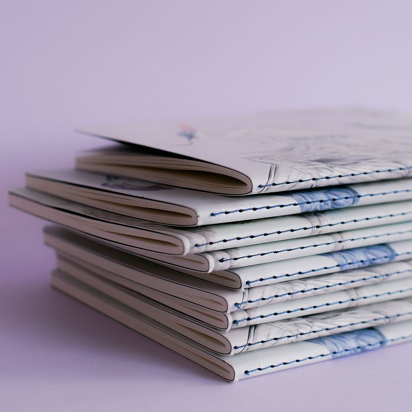 Garzas: Libretas de bolsillo 10