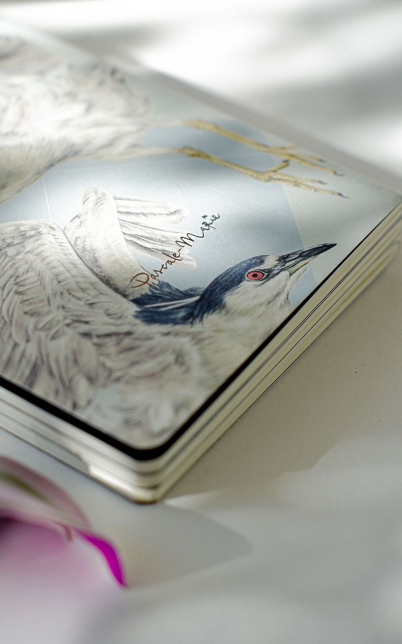 Garzas: Libretas de bolsillo 12