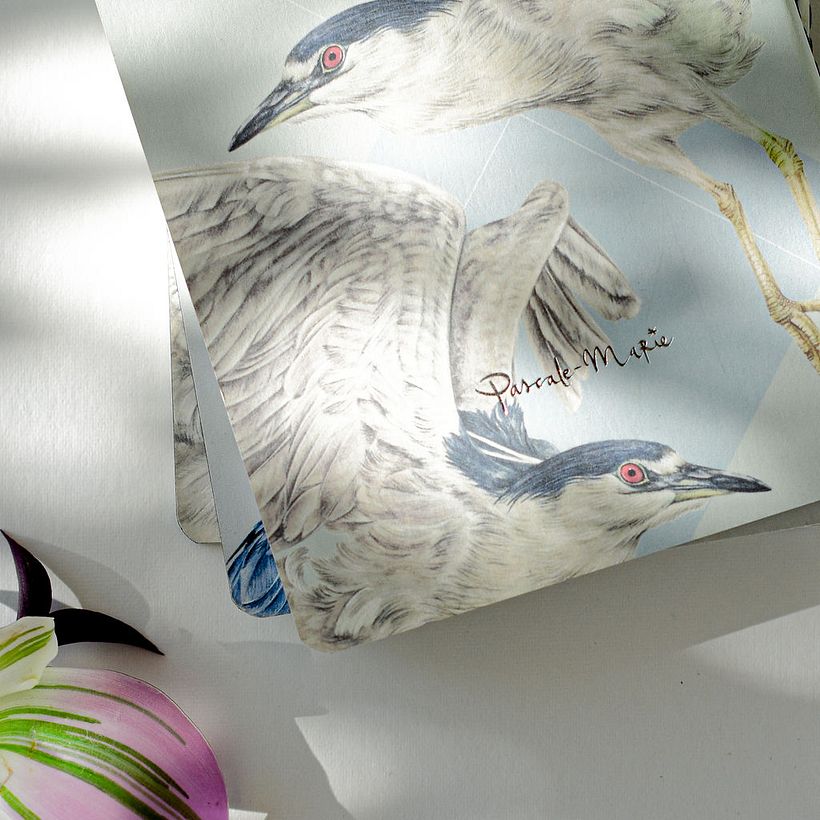 Garzas: Libretas de bolsillo 13