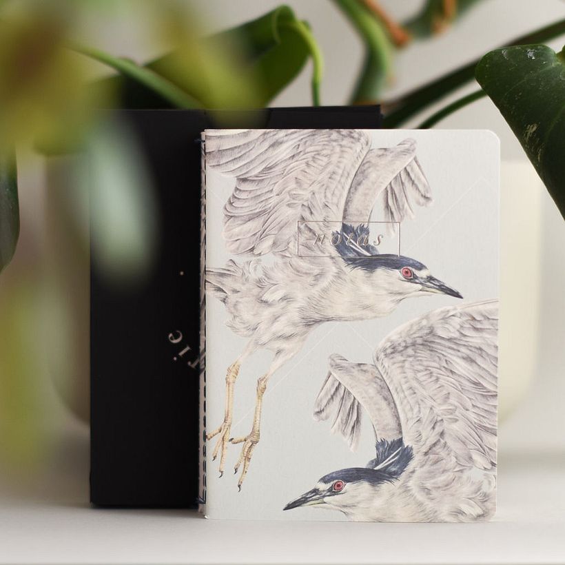 Garzas: Libretas de bolsillo 15