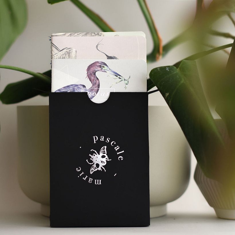 Garzas: Libretas de bolsillo 16