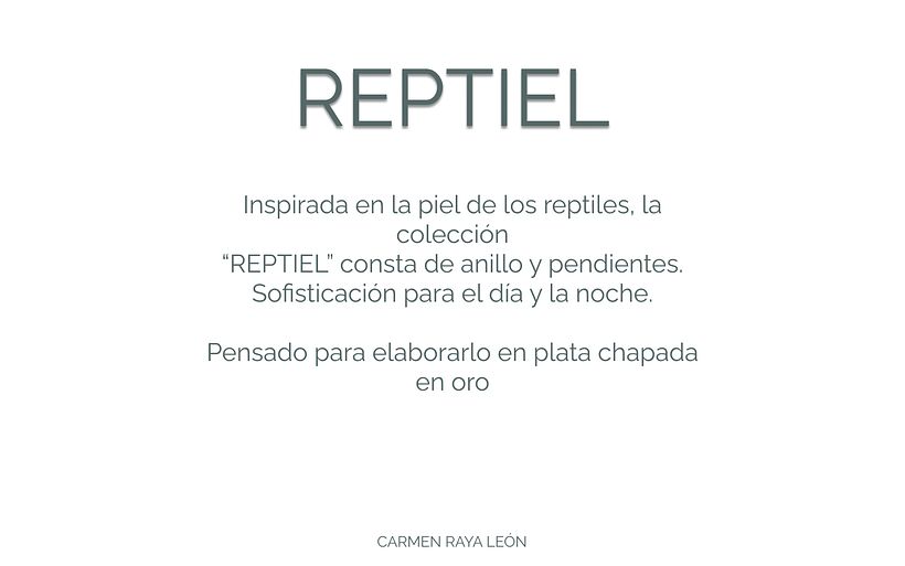 Portfolio de diseño y desarrollo técnico de joyas 11