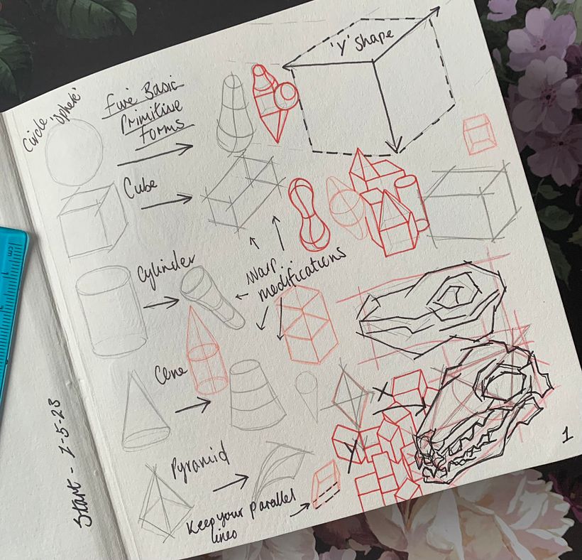 My project for course: Daily Sketching for Creative Inspiration 1