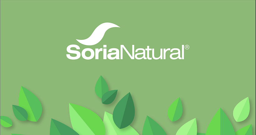 Estrategia - Soria 2019  1