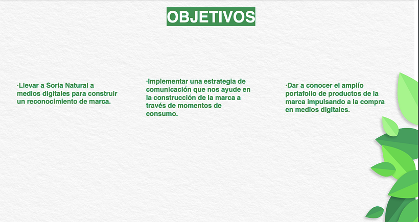 Estrategia - Soria 2019  2