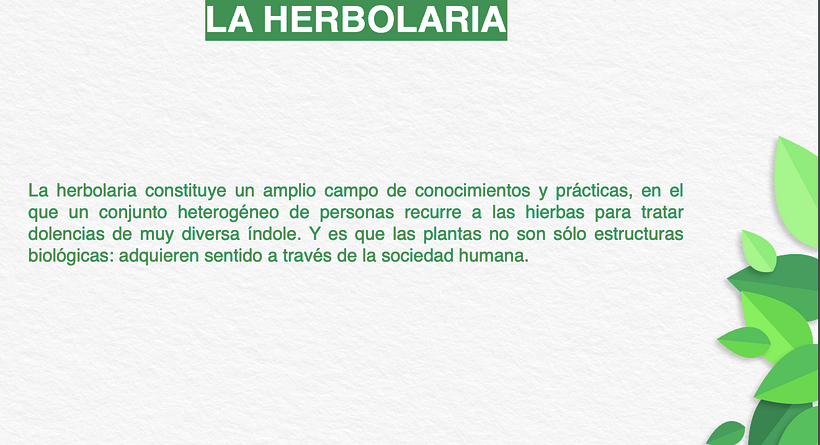 Estrategia - Soria 2019  8