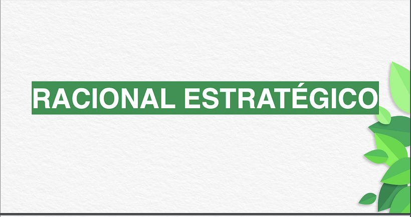 Estrategia - Soria 2019  12