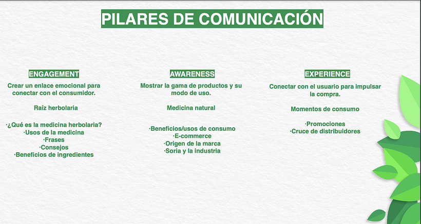 Estrategia - Soria 2019  20