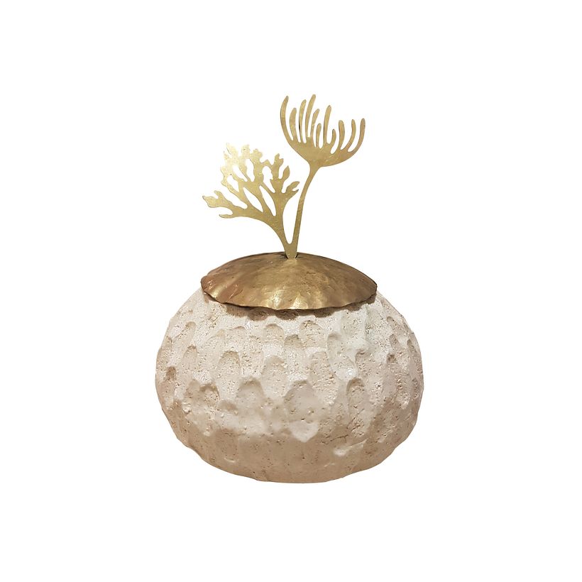 Wild & Fragile - Decorative box in ceramic and satin brass
