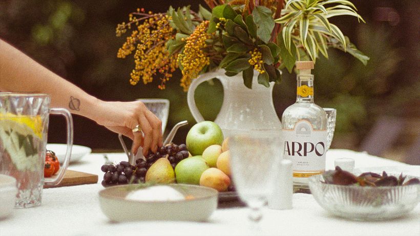 Arpo 7