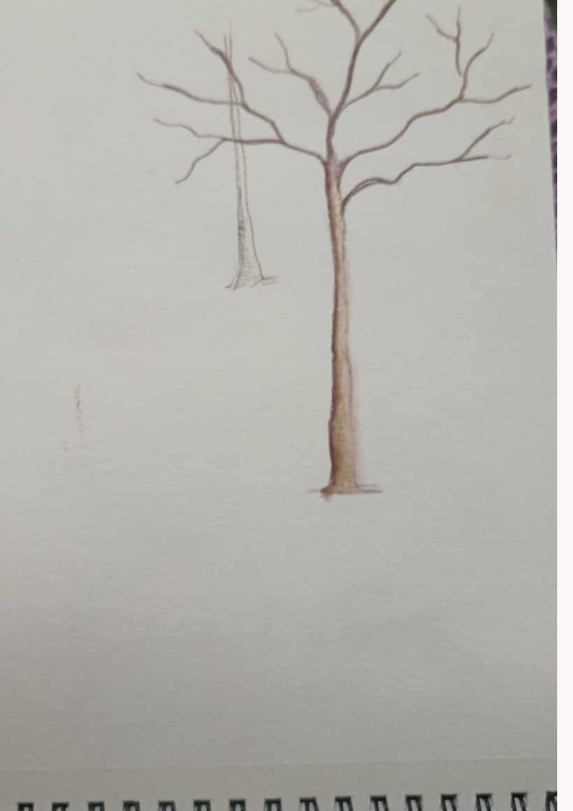 Meu projeto do curso: Desenho para principiantes nível -1 21