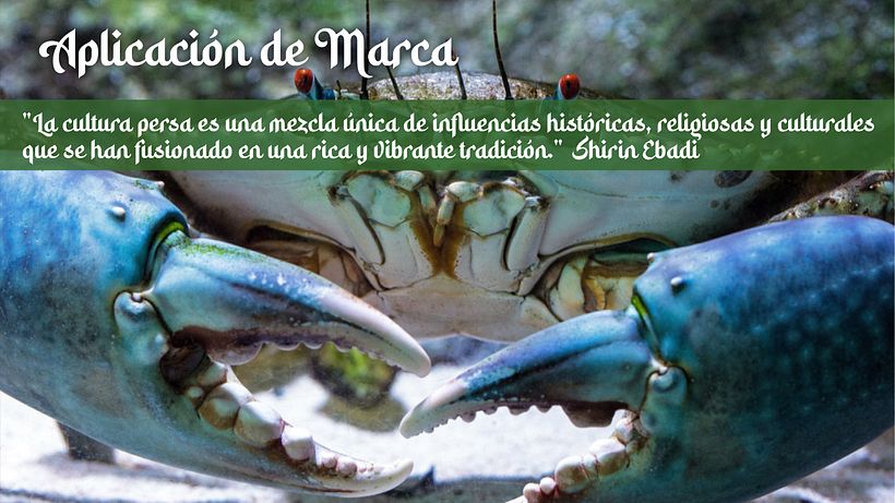 El 7 Mares 28