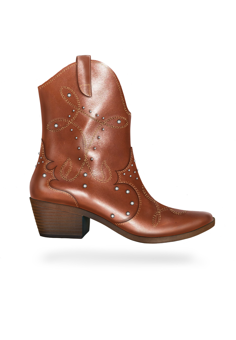 PROYECTO PARA LANE BOOTS  4