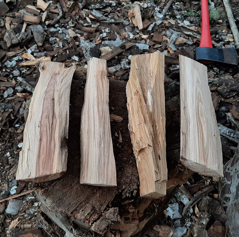 Trozos de roble para tallar
