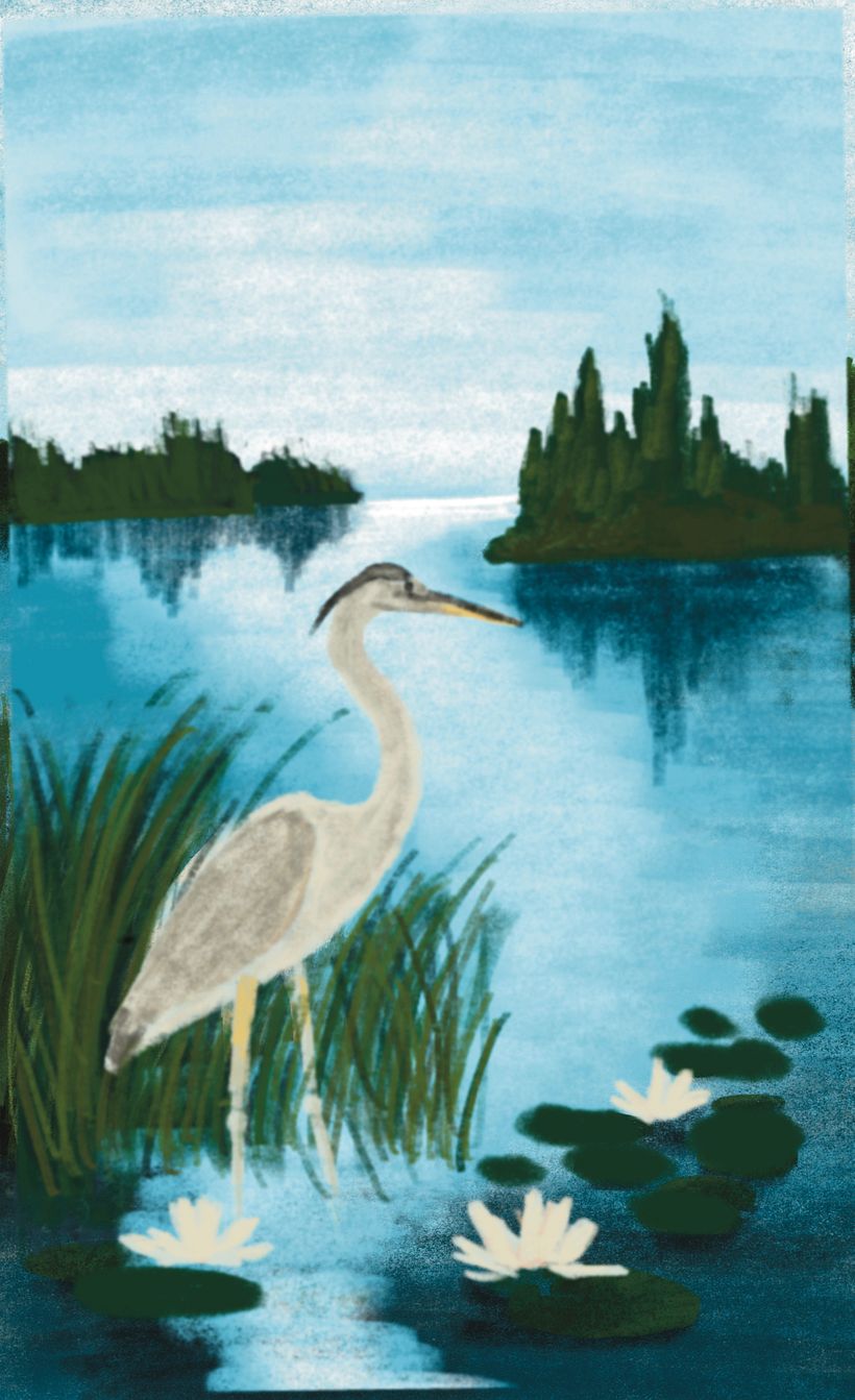 Ausfüllen mit Farben