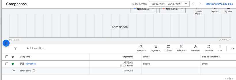 Diana's Final Project - Google Ads from zero and Facebook Ads results 6