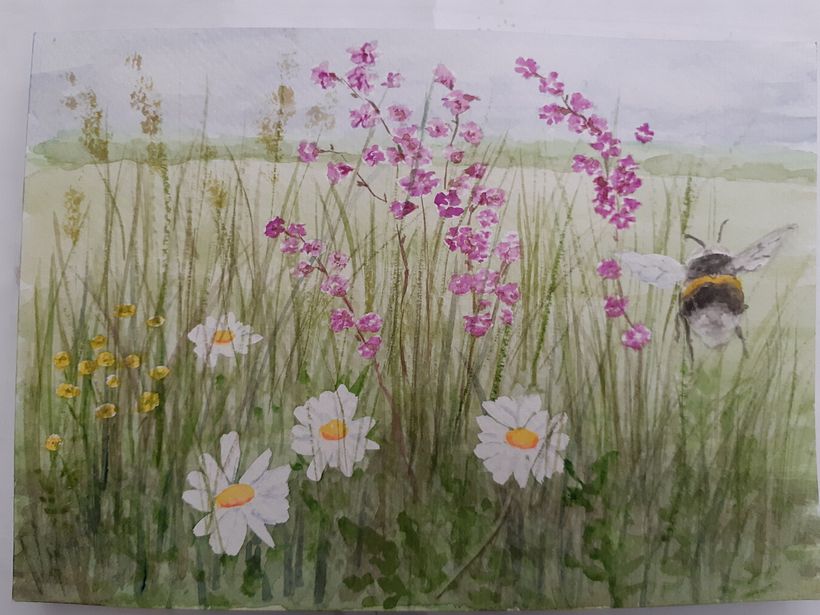 My project for course: Illustrating the Natural World with Watercolor and Charcoal 5