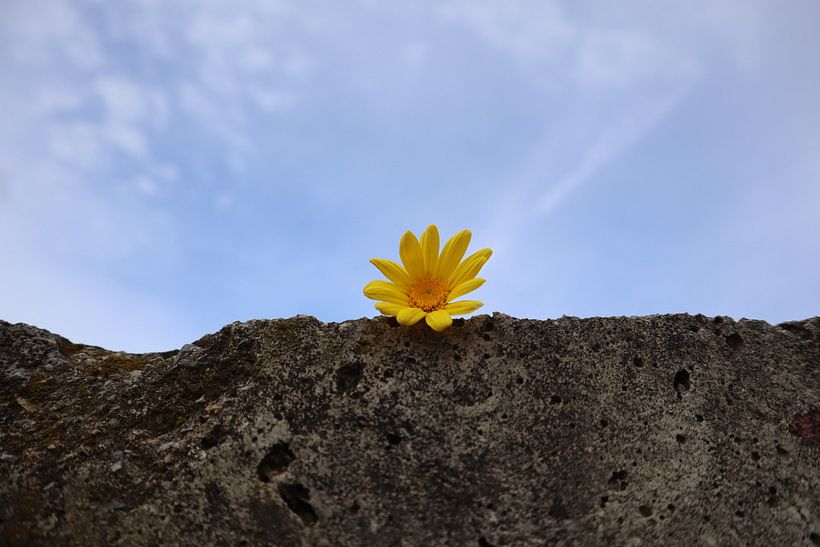 ~My little sunshine~