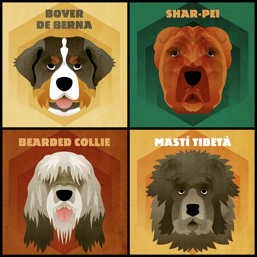 Dog face collection 7
