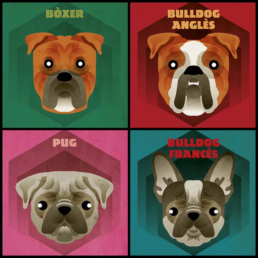 Dog face collection 8