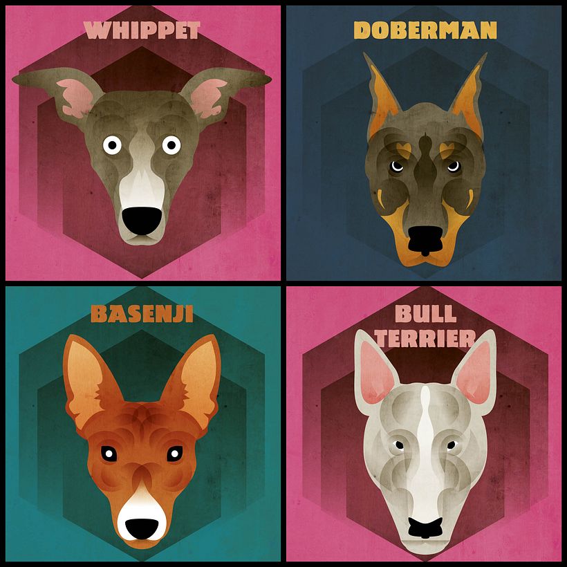 Dog face collection 9