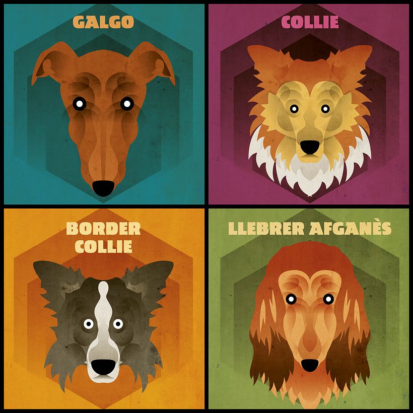 Dog face collection 10