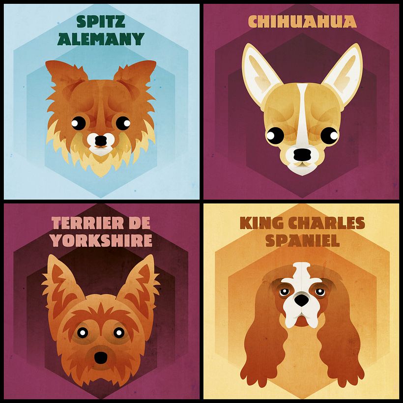 Dog face collection 11