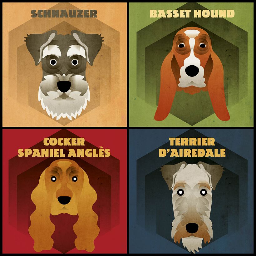 Dog face collection 12