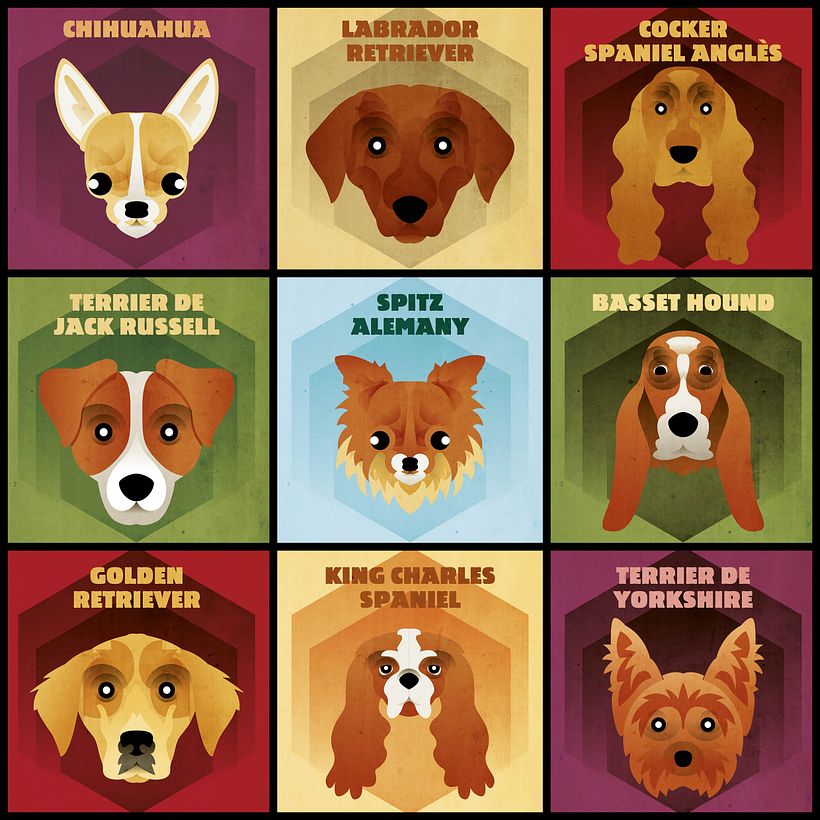Dog face collection 3