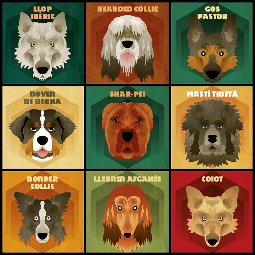 Dog face collection 2