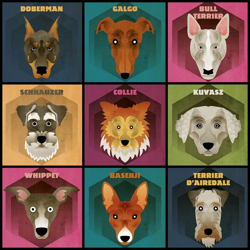 Dog face collection 4