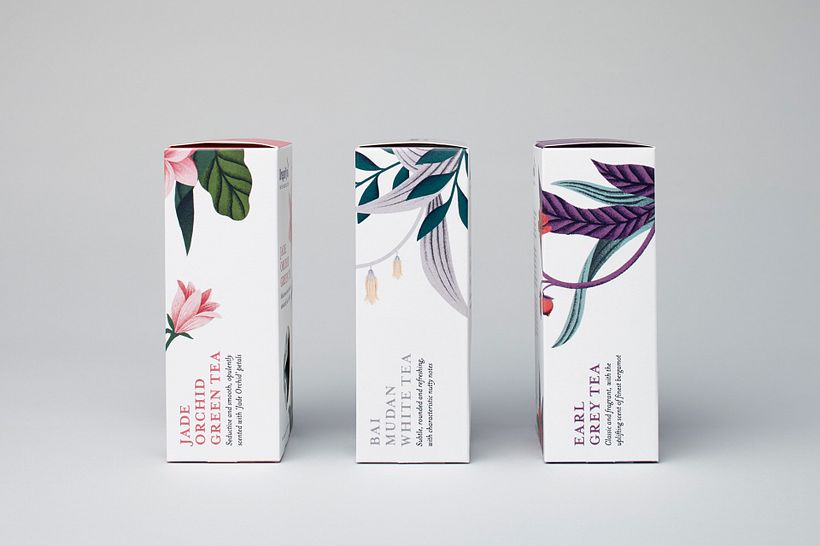 Dragonfly tea 4