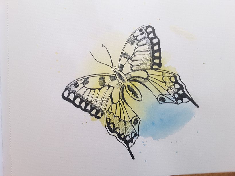 Butterfly 2