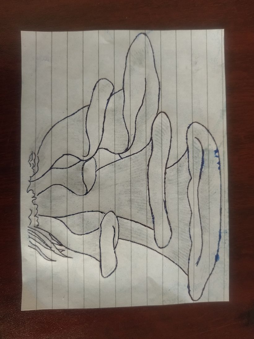 Mi proyecto del curso: Introducción al tatuaje de estilo etching 3