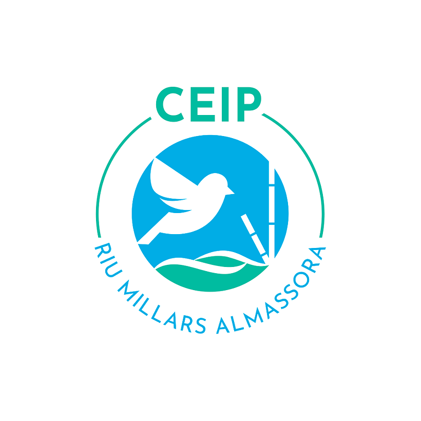 CEIP Riu Millars // Branding 1