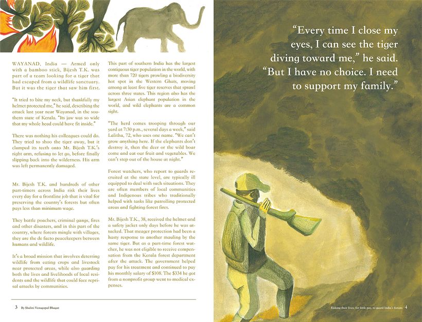 Artículo Ilustrado / Risking their lives, for little pay, to guard India's forests 3