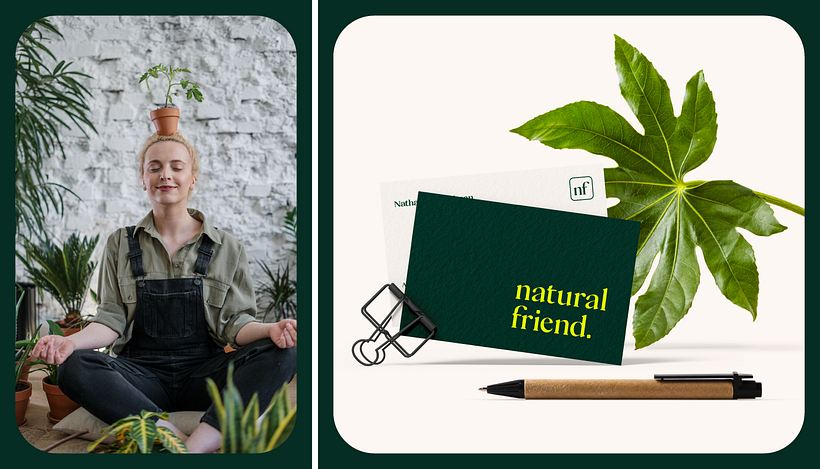 Proyecto final: Natural Friend - Branding e Identidad