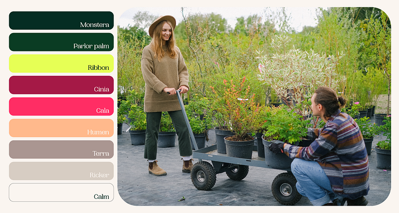 Proyecto final: Natural Friend - Branding e Identidad