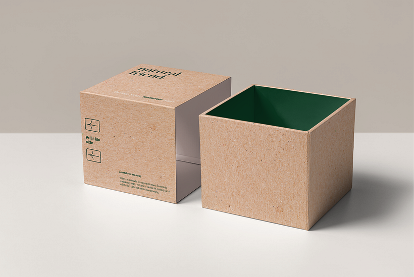 Proyecto final: Natural Friend - Branding e Identidad