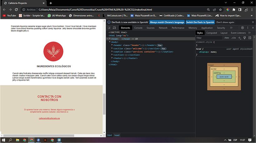 Mi proyecto del curso: Introducción al Desarrollo Web Responsive con HTML y CSS 25