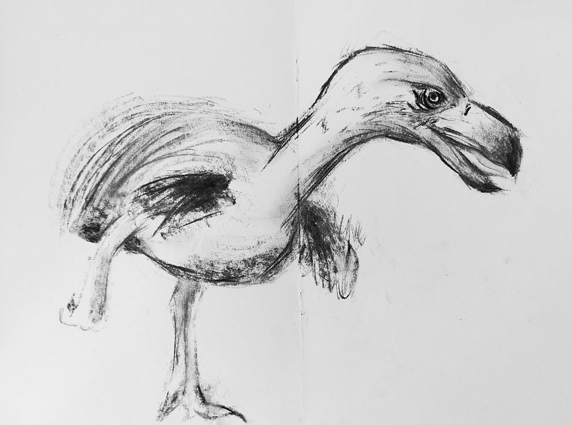 My first charcoal sketch after ages.