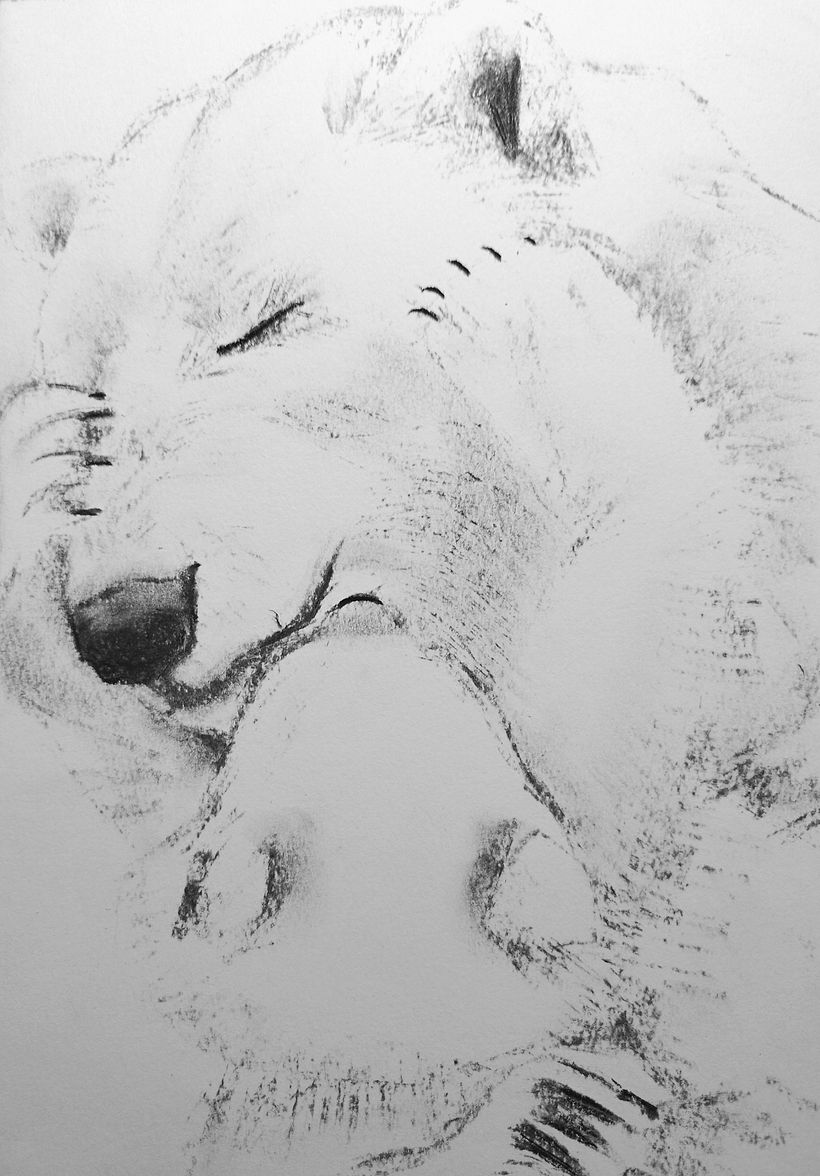 Drawing a white fur with charcoal was not a brilliant idea for a fresh start :)