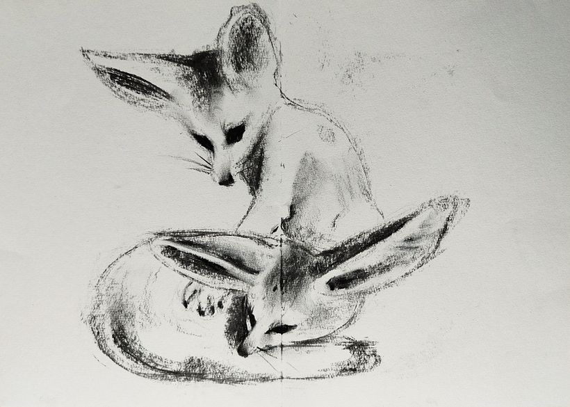 I wanted some interaction between the foxes.