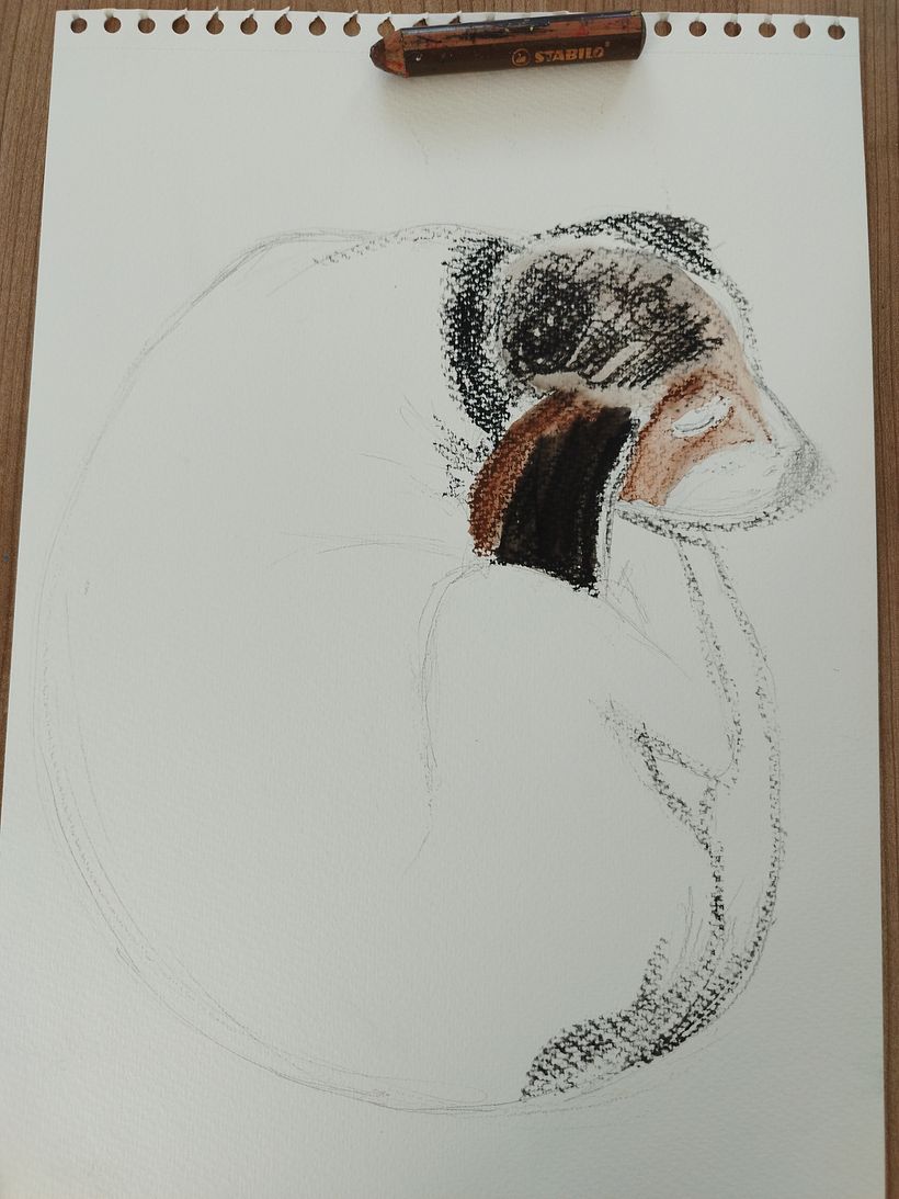 I did not like the structure of this paper, so I used water soluble crayons to cover it.